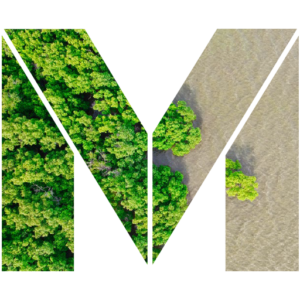 Mangrove